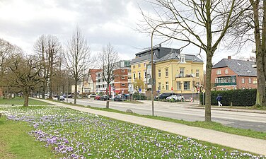 Das nördliche Ende der Kronsforder Allee