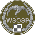 Oznaka rozpoznawcza WSOSP na mundur polowy (2016-18)