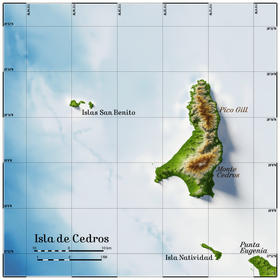 Carte topographique de l'île Cedros.