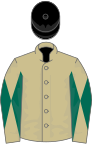 Beige, dark green diabolo on sleeves, black cap