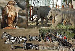 Taman Hidupan Semulajadi İzmir(Doğal Yaşam Parkı) zoo terbuka dan taman tema yang baru dibuka di Çiğli di kawasan Sasalı