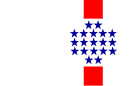 Bandeira de Central