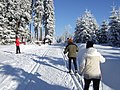 Kammloipe unweit vom Großen Kranichsee