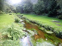 Le Naïc près du moulin de Lescréant coule au milieu d'une prairie humide.