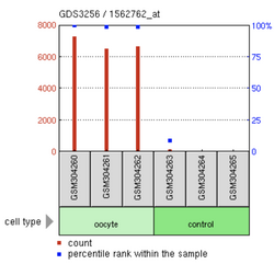 C3orf56 expression in oocytes.