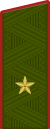 Tümgeneral