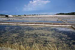 Salinas en Secoveljske