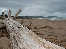 Trafalgar Beach