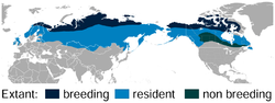 Área de distribución de Lagopus lagopus.