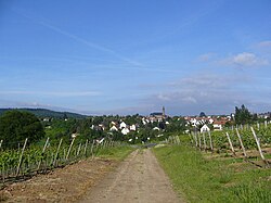 Skyline of Weiler bei Bingen