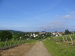 Weiler bei Bingen – Veduta