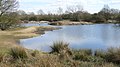 Seven Islands Pond