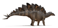 Die Stegosaurus was een van die herkenbaarste genusse van die Middel-Jura.