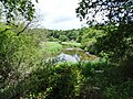 La vallée du fleuve côtier Bélon en amont du pont du Guily (limite entre Riec-sur-Bélon et Moëlan-sur-Mer).