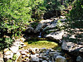 Ruisseau de Cuccagna dans la forêt de Valdu-Niellu.