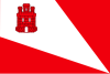 Vlag van Baraona