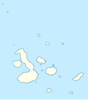 Puerto Ayora is located in Galápagos Islands