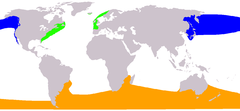 Mapa występowania