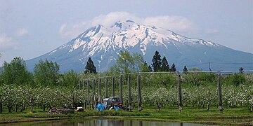 春のリンゴ畑と岩木山（弘前市小沢付近）