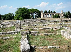 Vue en direction du temple de Cérès à Paestum