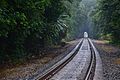 15. koht 2016. aastal: Panama kanali raudtee. Foto: Ivo Kruusamägi