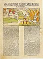Pamflet om henrettelsen af en heks beskyldt for nedbrænde byen Schiltach i 1531.