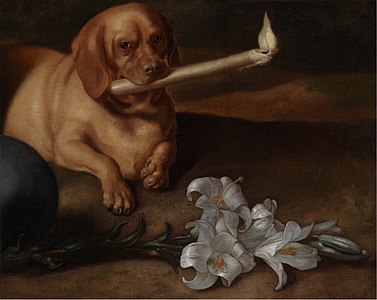 Chien avec une bougie et lys (vers 1660), musée d'Art d'Indianapolis.