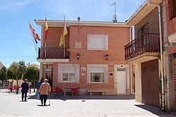 Skyline of Pedrosa de Duero