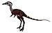 Alvarezsauridae