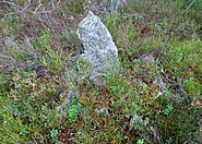 Ett äldre 5-stenaröse vid Tornberget med visaren t.h.