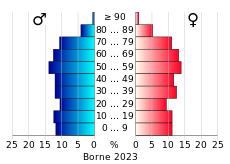 Bevolkingspiramide van de gemeente Borne