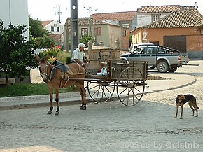 Carroça tradicional no Largo Engenheiro Carlos da Costa, próxima da Fonte do Ladoeiro