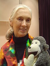 Jane Goodall, primatòloga anglesa (1934-).