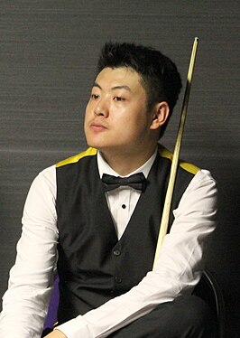 Liang Wenbo in 2016