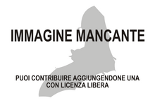 Immagine di Murina grisea mancante