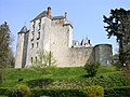 Château de Saint-Brisson