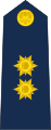 Brigadier general del Aire de la Fuerza Aérea.