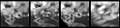 Surface changes observed at Masubi during the Galileo mission of the late 1990s. Plume deposits seen in September 1997 (image 2) and August 1999 (image 4). Plume fallout absent in June 1997 (image 1) and May 1998 (image 3)