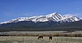 Gunung Elbert, Colorado, puncak tertinggi Banjaran Rocky