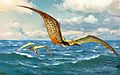 Pteranodon