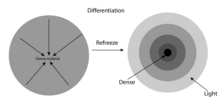 Un diagrama de la diferenciación de la Tierra. El diagrama muestra las diferentes capas de la Tierra y cómo los materiales densos se mueven hacia el núcleo de la Tierra.