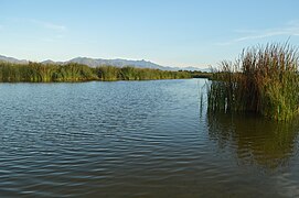 Estuario San José Los Cabos