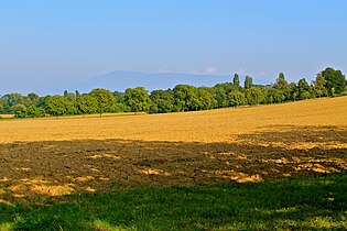 Das Tournay-Land (Flur), ehemaliges Ackerland der Herren von Tournay