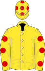 Yellow, Red spots on sleeves and cap