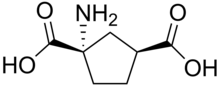 Stereo, skeletal formula of ACPD ((1S,3S)-1-amino,-1,3-dicarboxylic acid)