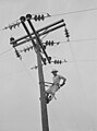 Image 6A Rural Electrification Administration lineman at work in Hayti, Missouri in 1942. (from History of Missouri)