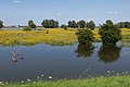 Beuningse Uiterwaarden tijdens hoog water