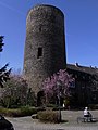 Tårnet til Wetterborgen fra 1200-tallet