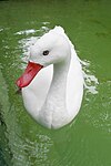 At Berlin Zoo, Germany