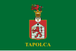 Vlag van Tapolca